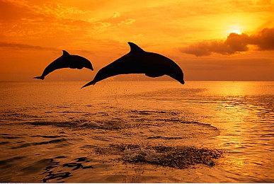 河洛新作《古龙风云录》Steam页面上线 今年12月发售