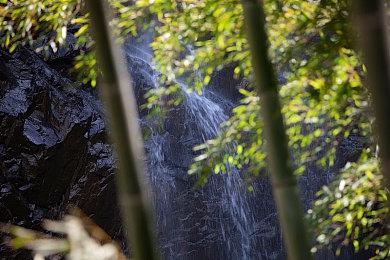 《饿殍：明末千里行》新史低 Steam好评如潮